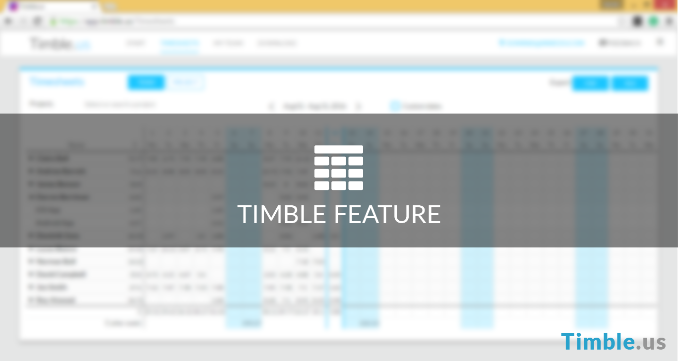 Timesheets feature 72 ppi